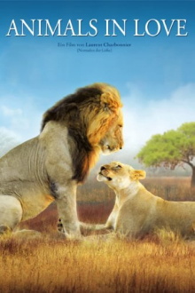 Animals in Love Trailer