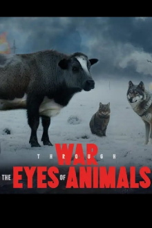 Animals in War Trailer