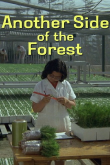 Another Side of the Forest Trailer
