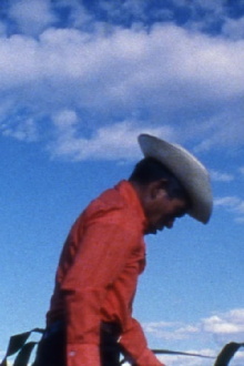 Anselmo and the Women Trailer