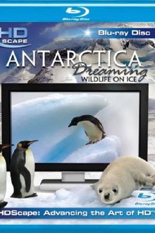 Antarctica Dreaming Trailer