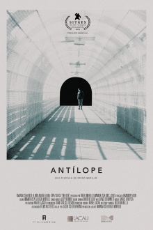 Antelope Trailer