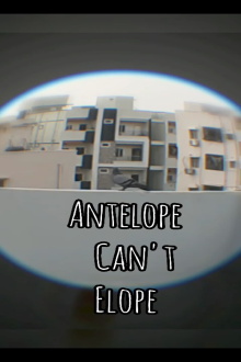 Antelope can't Elope Trailer