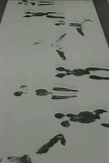 Anthropometries of the Blue Period and Fire Paintings Trailer