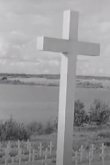 Anu Parikka och de andra Trailer