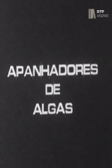 Apanhadores de Algas Trailer