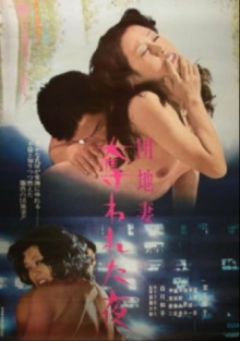 Apartment Wife: Night of the Rape Trailer