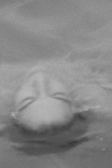 Aphrodite Trailer