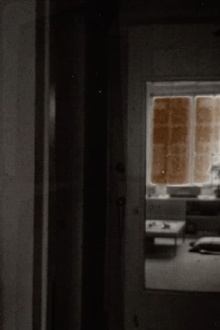 Apt. 309 Trailer