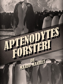 Aptenodytes Forsteri Trailer