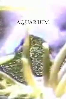 Aquarium Trailer