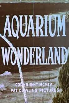 Aquarium Wonderland Trailer