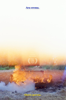 Ara crema Trailer