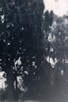 Árbol de cristal Trailer