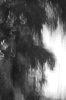 Árbol de la Noche Victoriosa Trailer
