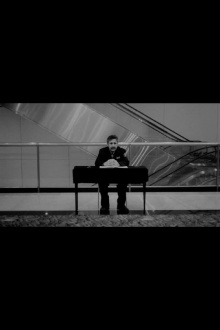 Árboles y arbustos Trailer