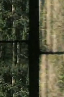 Arbres Trailer