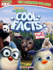 Archie And Zooey’s Cool Facts: Top 5 Bears Trailer