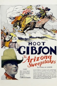 Arizona Sweepstakes Trailer
