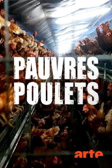 Armes Huhn – armer Mensch Trailer