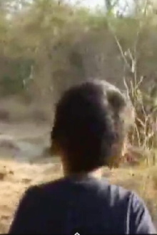 Arnav at Six Trailer