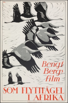 As a Migratory Bird in Africa Trailer