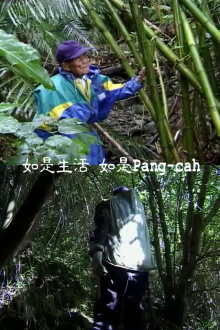 As Life, As Pangcah Trailer