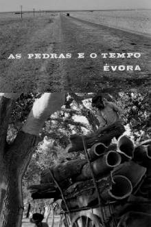 As Pedras e o Tempo Trailer