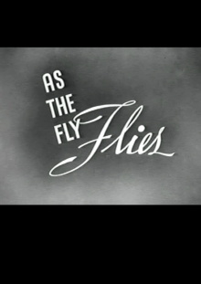 As the Fly Flies Trailer
