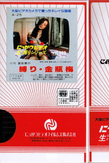 Asami Ogawa's Binding: Jin Ping Mei Trailer