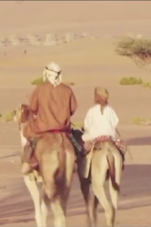 Aseel Trailer
