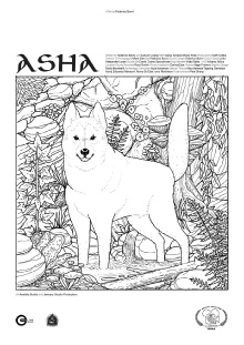 Asha Trailer