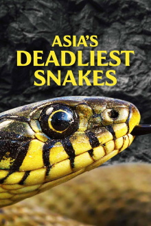 Asia's Deadliest Snakes Trailer