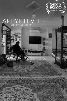 At Eye Level Trailer