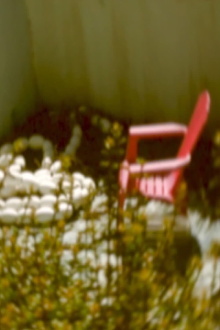 …at large under the sun… Trailer