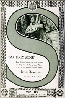 At Piney Ridge Trailer