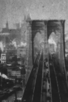 At the Top of Brooklyn Bridge Trailer