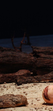 At the Very Bottom of Everything Trailer