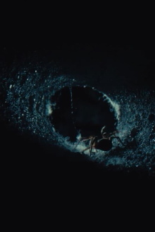 Atom & Void Trailer