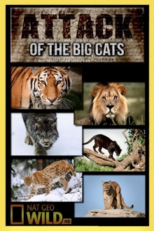 Attack of the Big Cats Trailer