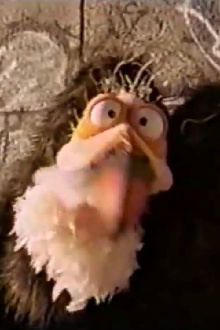 Attack of the Giant Vulture Trailer