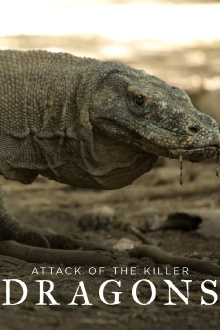 Attack of the Killer Dragons Trailer
