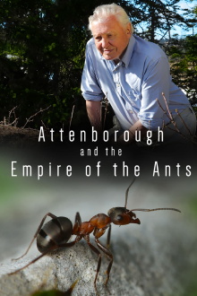 Attenborough and the Empire of the Ants Trailer