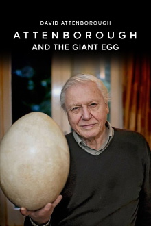 Attenborough and the Giant Egg Trailer