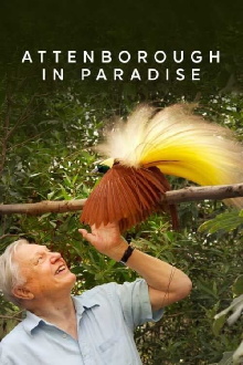 Attenborough in Paradise Trailer