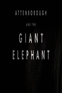 Attenborough y el elefante gigante Trailer