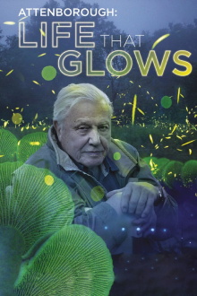 Attenborough's Life That Glows Trailer