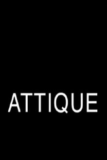 Attic Trailer