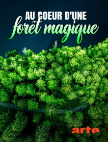 Au cœur d'une forêt magique Trailer