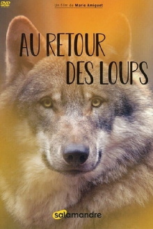 Au retour des loups Trailer
